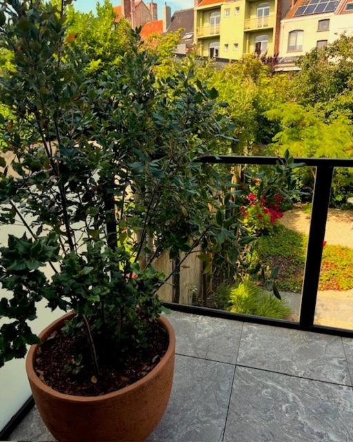 Huis Agnes Οστένδη Εξωτερικό φωτογραφία